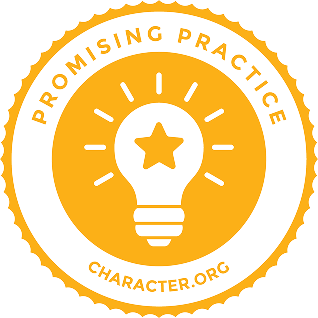Promising Practice Badge yellow