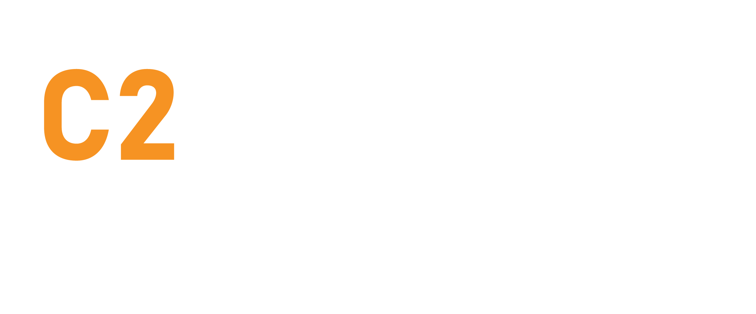 C2Audit Logo Reversed